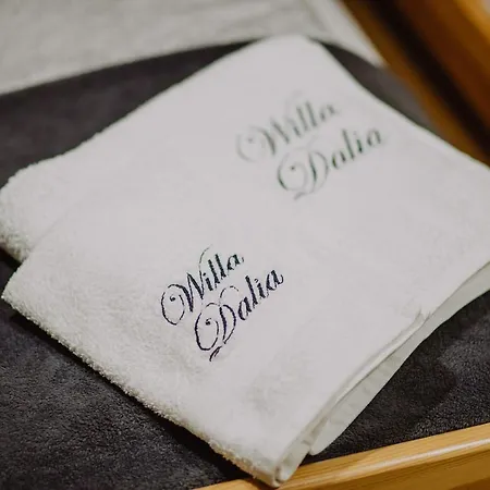 Willa Dalia Rabka Exterior photo